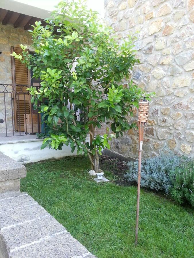 Il Poggio Da Leo Διαμέρισμα Capanne Εξωτερικό φωτογραφία